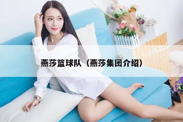 燕莎篮球队（燕莎集团介绍）