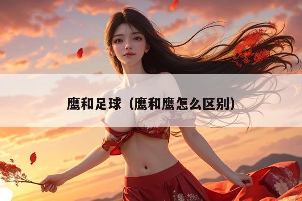 鹰和足球（鹰和鹰怎么区别）