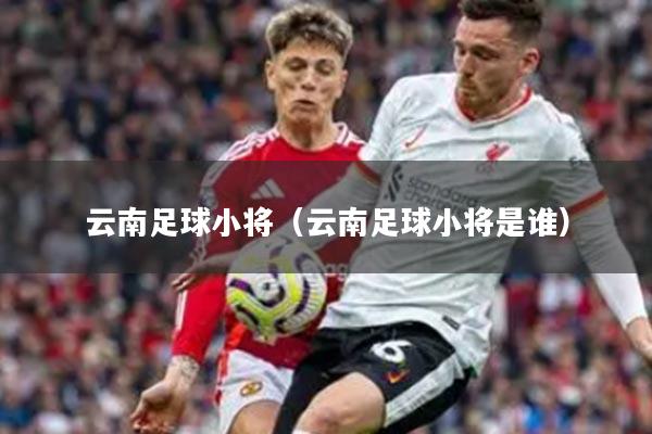 云南足球小将（云南足球小将是谁）