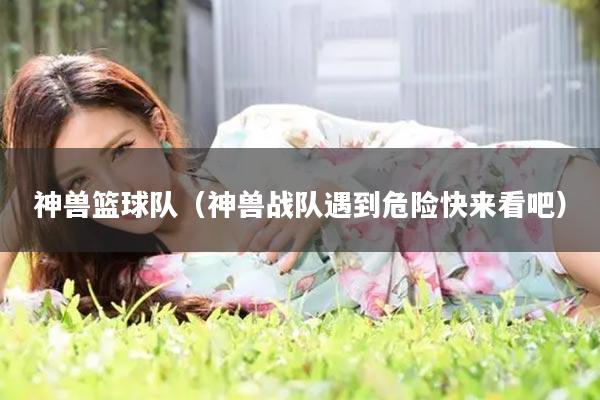 神兽篮球队（神兽战队遇到危险快来看吧）