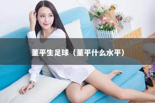 董平生足球（董平什么水平）